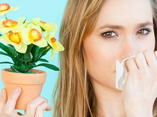春季花粉过敏怎么办？专家教你这样防治