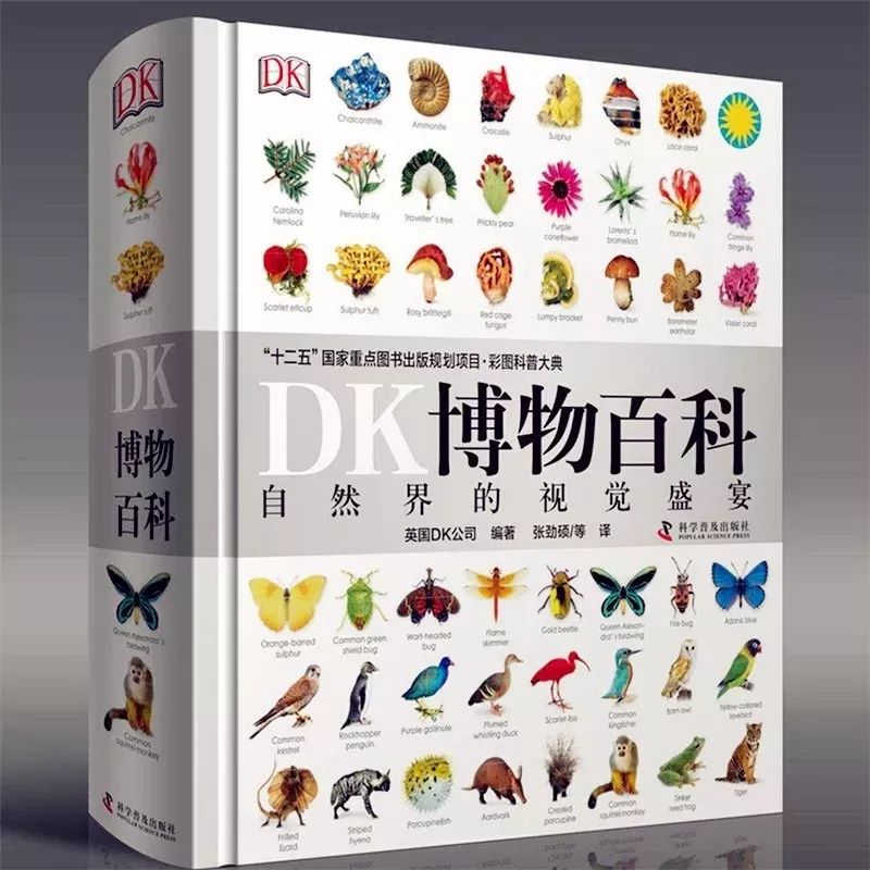 DK百科全书560本合集
